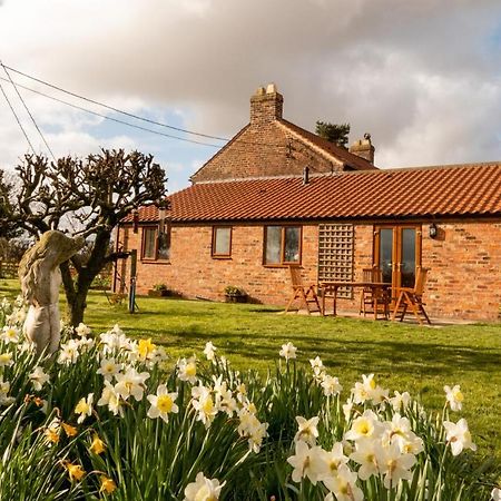 Morndyke Cottage Thirsk Ngoại thất bức ảnh
